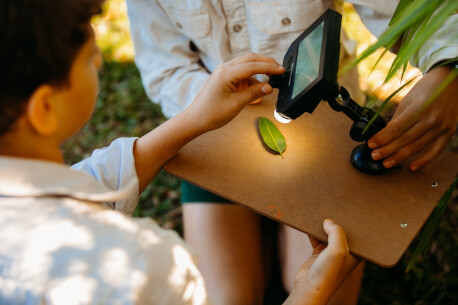 The Nature School Port Macquarie